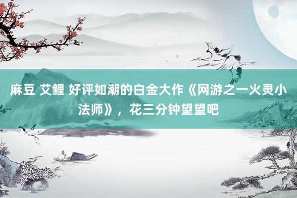 麻豆 艾鲤 好评如潮的白金大作《网游之一火灵小法师》，花三分钟望望吧