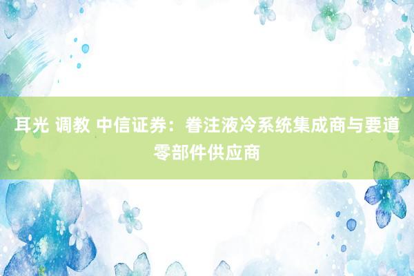 耳光 调教 中信证券：眷注液冷系统集成商与要道零部件供应商