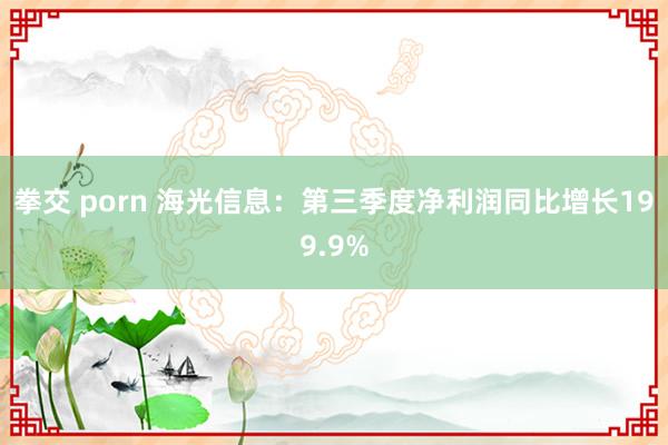拳交 porn 海光信息：第三季度净利润同比增长199.9%
