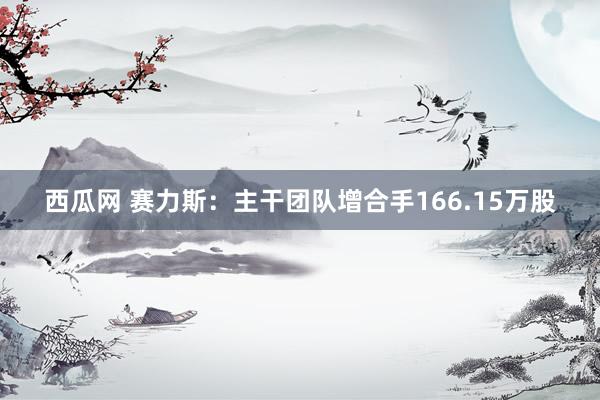 西瓜网 赛力斯：主干团队增合手166.15万股