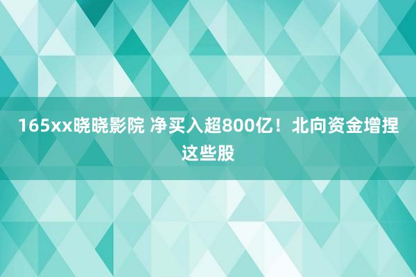 165xx晓晓影院 净买入超800亿！北向资金增捏这些股