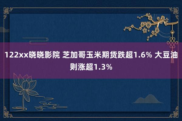 122xx晓晓影院 芝加哥玉米期货跌超1.6% 大豆油则涨超1.3%