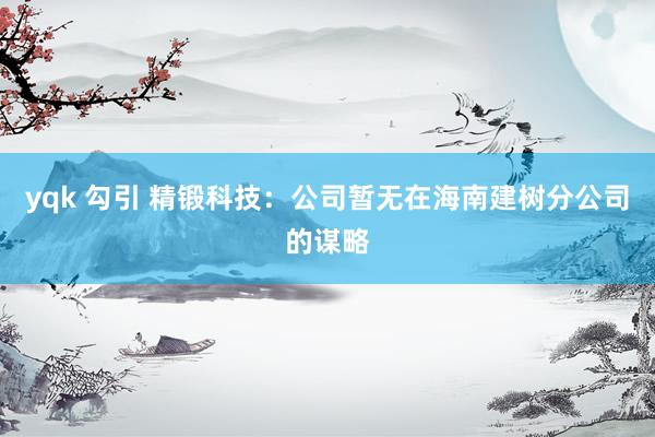 yqk 勾引 精锻科技：公司暂无在海南建树分公司的谋略