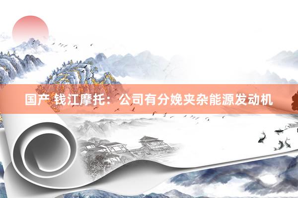 国产 钱江摩托：公司有分娩夹杂能源发动机