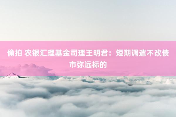 偷拍 农银汇理基金司理王明君：短期调遣不改债市弥远标的