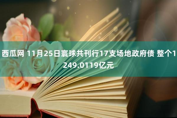 西瓜网 11月25日寰球共刊行17支场地政府债 整个1249.0119亿元