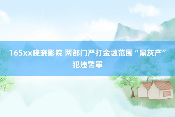165xx晓晓影院 两部门严打金融范围“黑灰产”犯违警罪